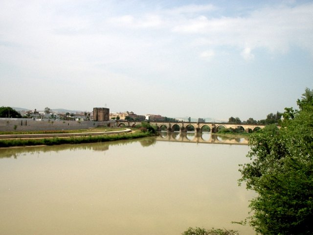 P5230157 uitzicht op Torre de la calahorra en de romeinse brug - Cordoba